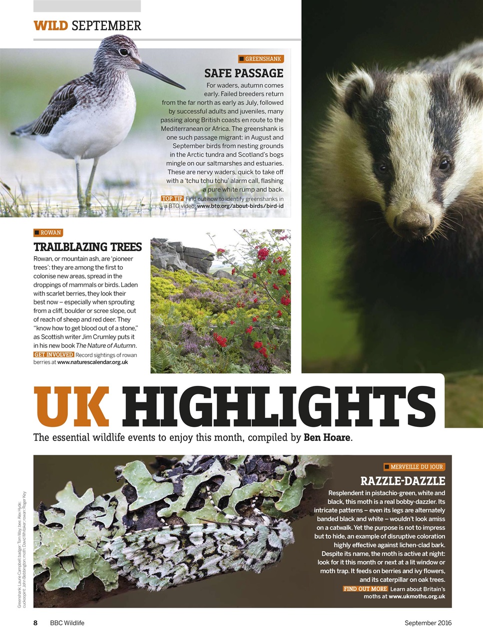 BBC Wildlife Magazine Preview Pages