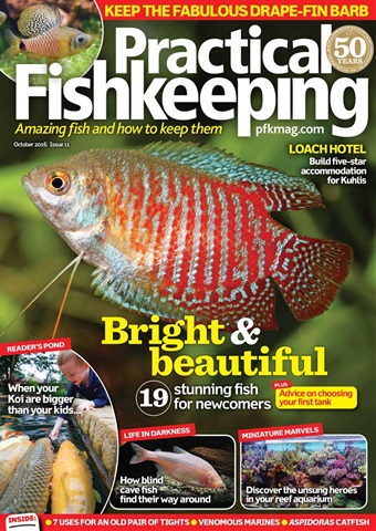 Practical Fishkeeping issue October 2016