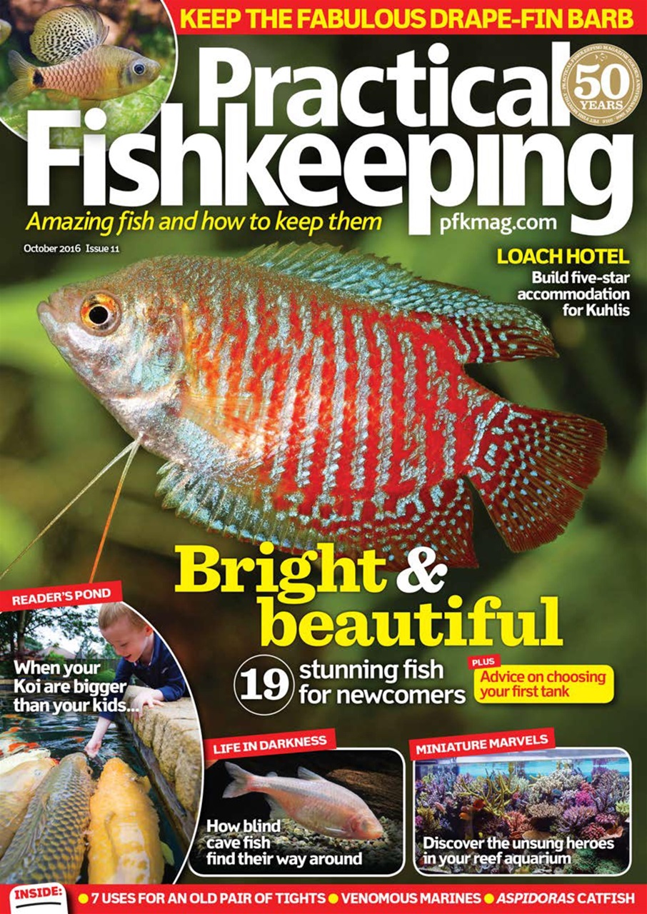 Practical Fishkeeping Preview Pages