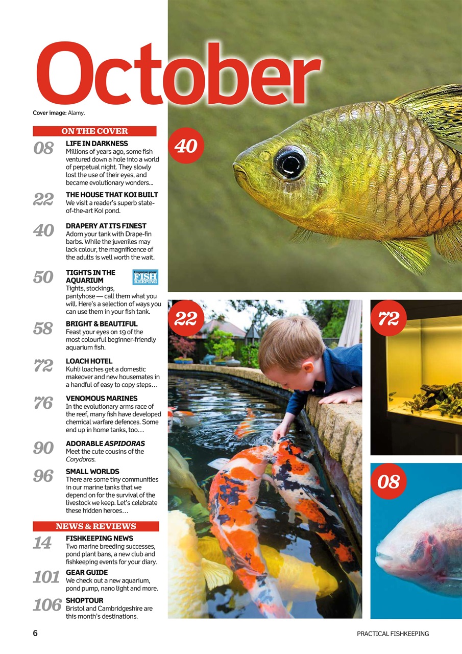Practical Fishkeeping Preview Pages