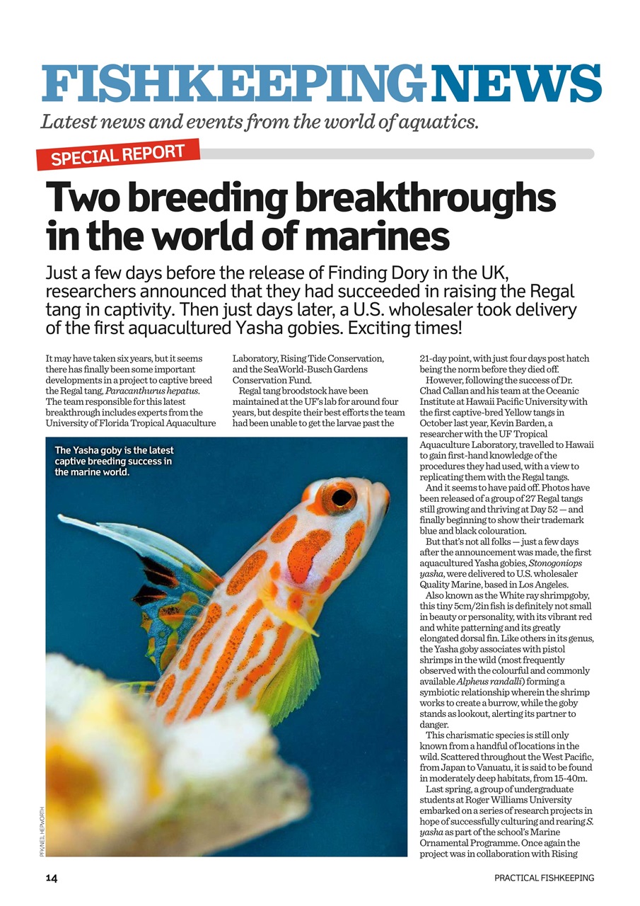 Practical Fishkeeping Preview Pages