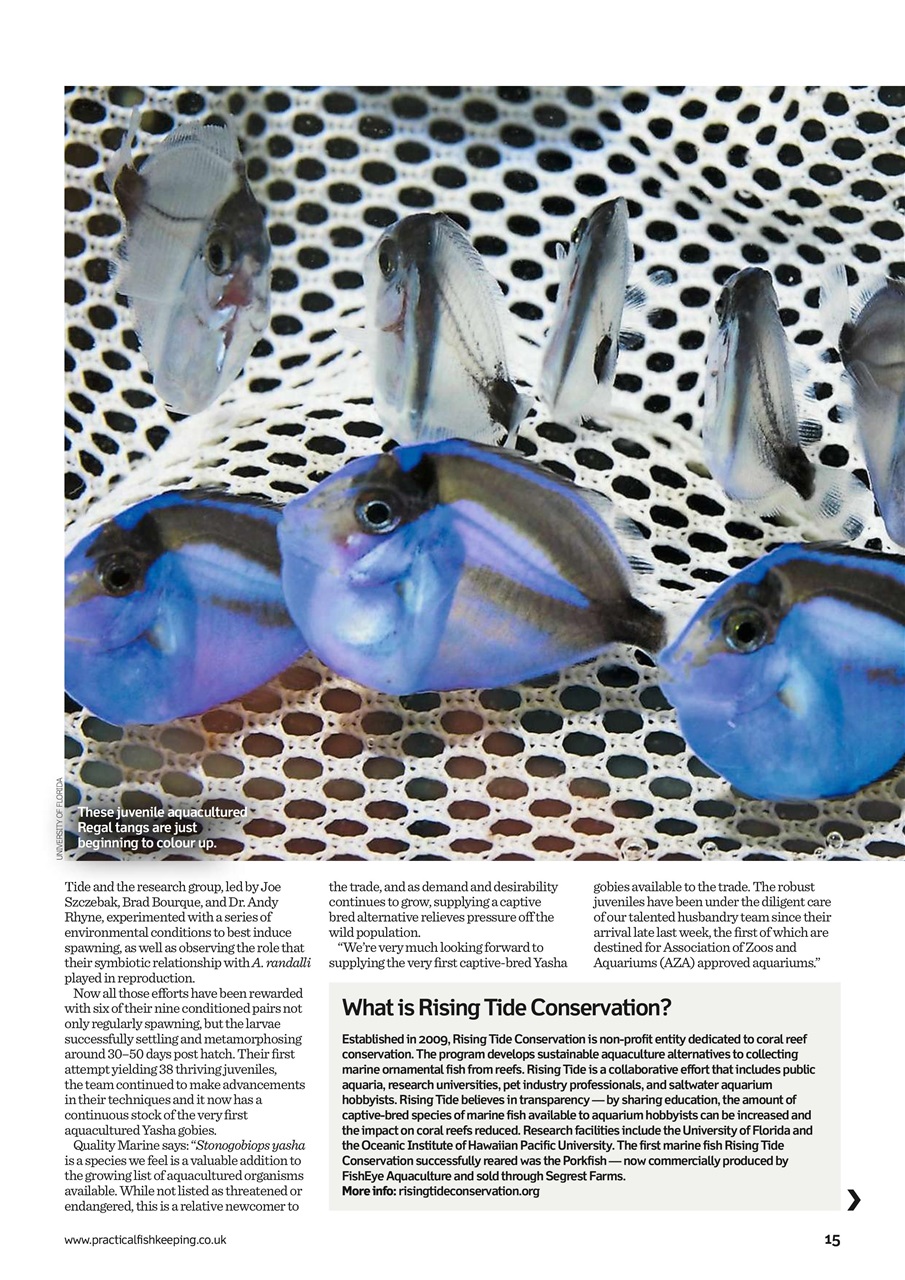 Practical Fishkeeping Preview Pages