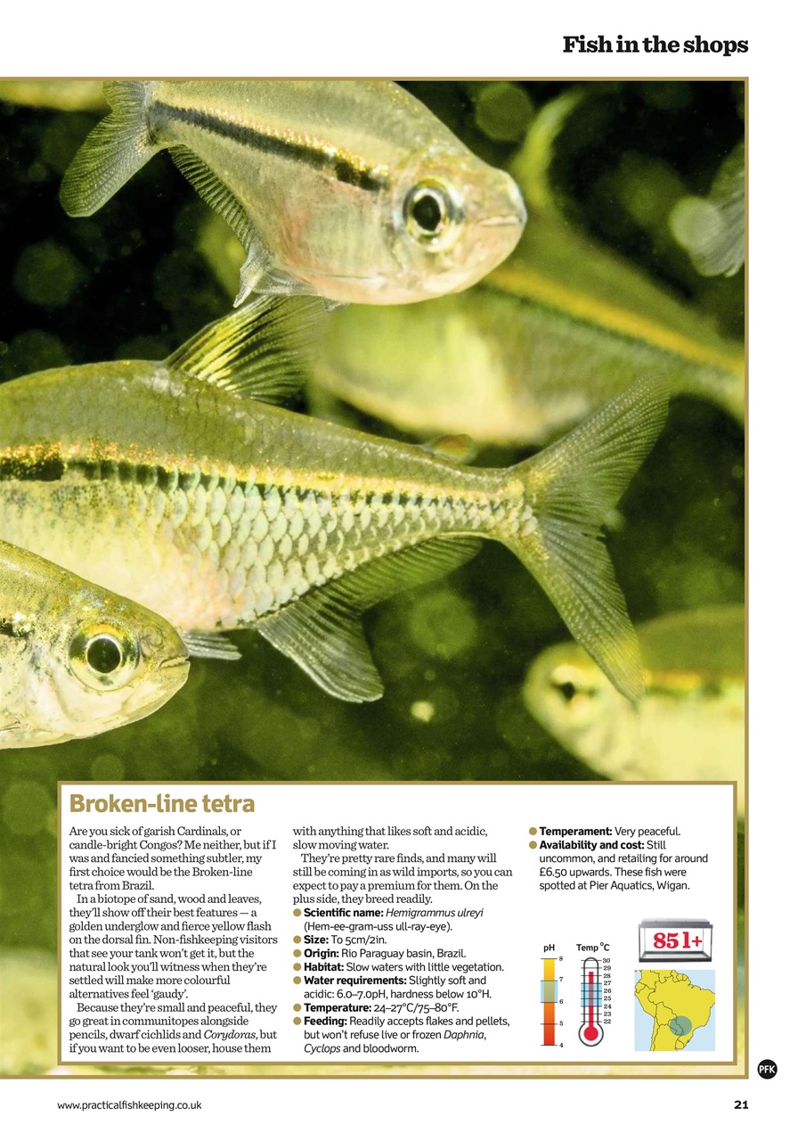 Practical Fishkeeping Preview Pages