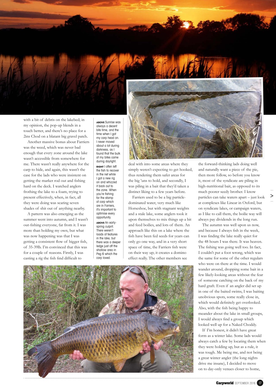 Carpworld Preview Pages