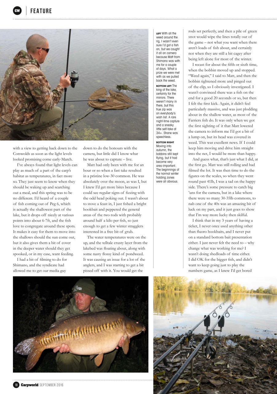 Carpworld Preview Pages