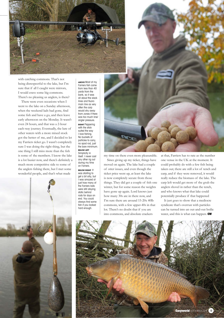 Carpworld Preview Pages