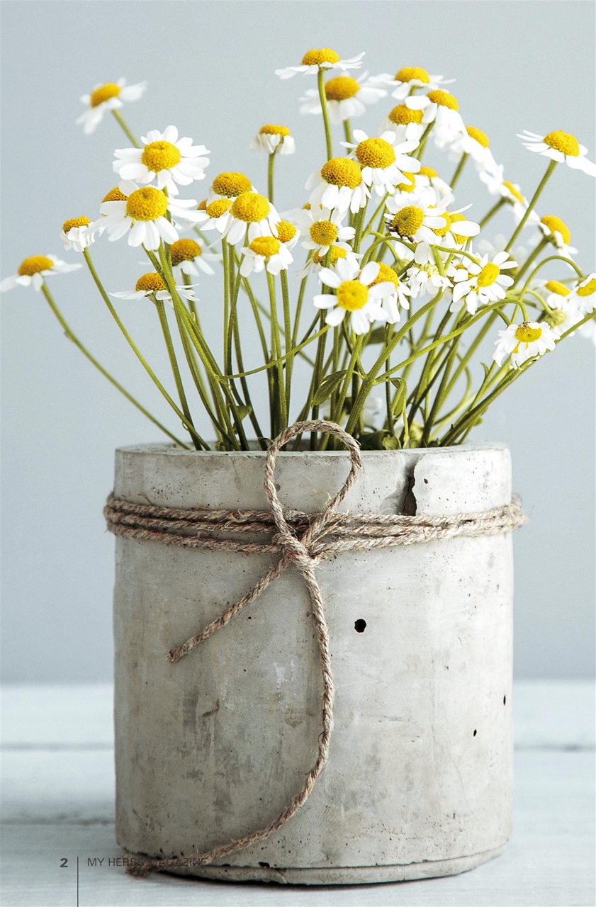 My Herbs Magazine Preview Pages