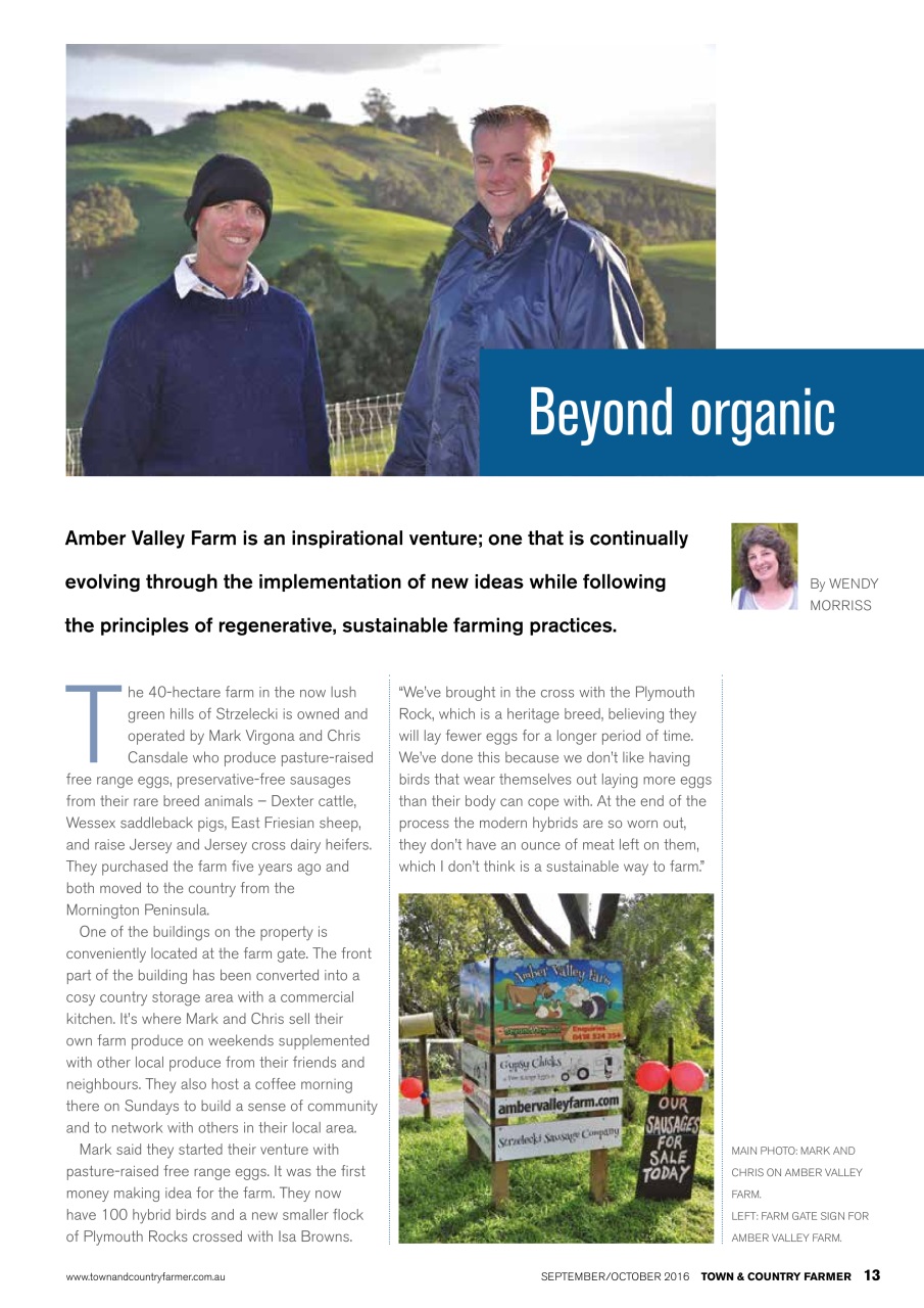 Town And Country Farmer Preview Pages