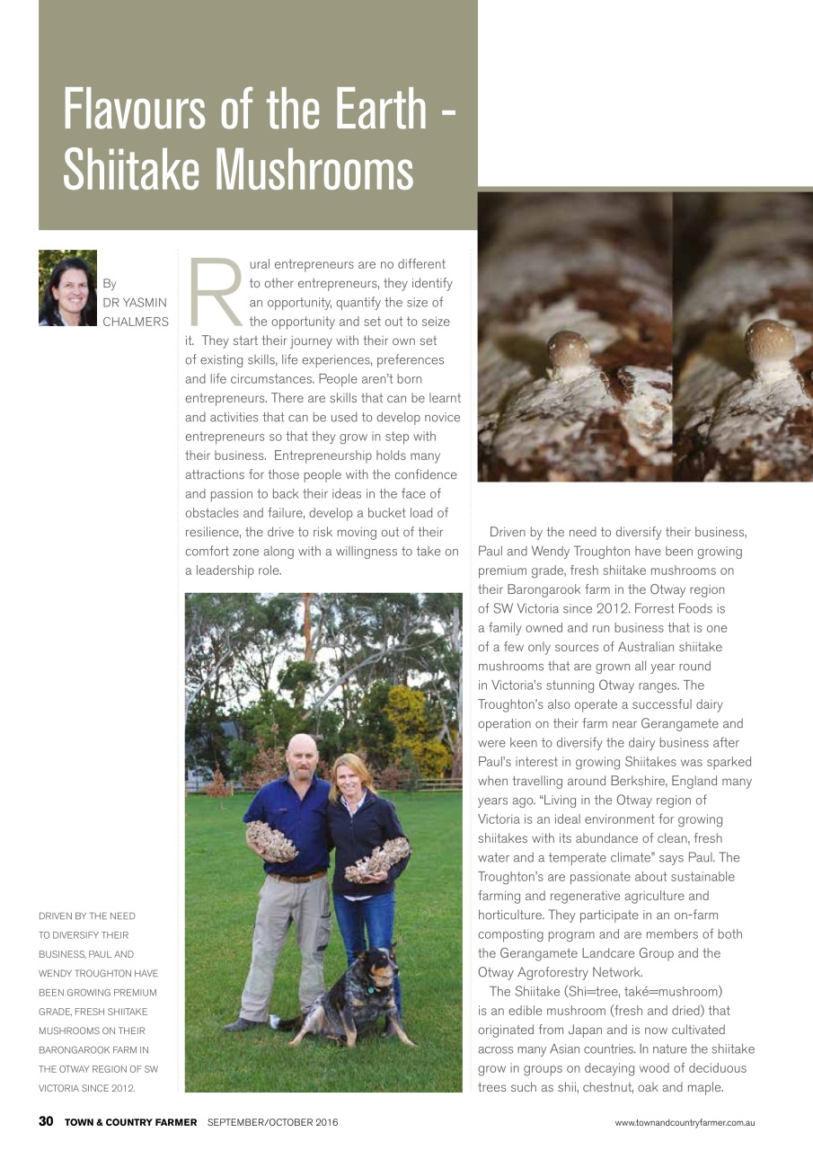 Town And Country Farmer Preview Pages