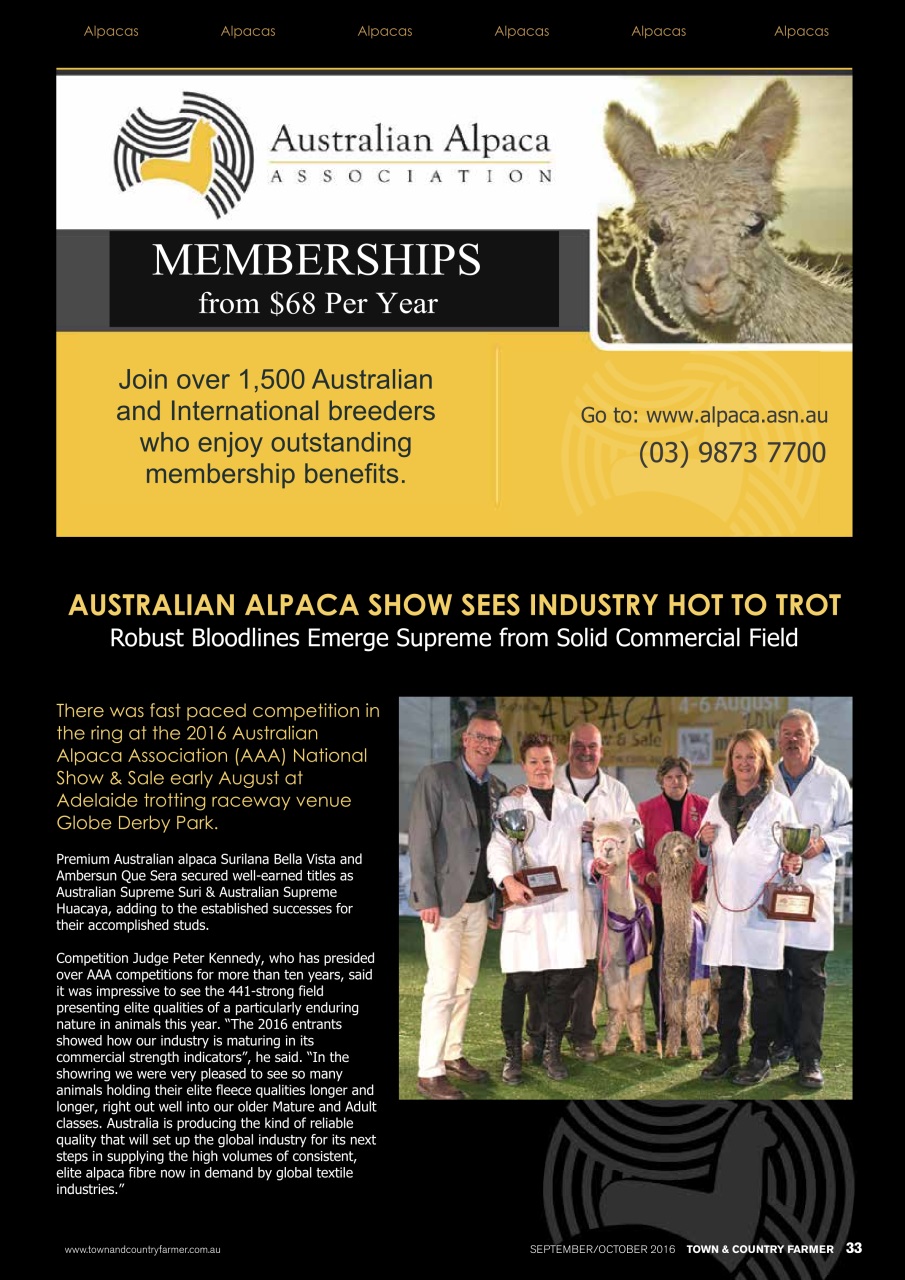 Town And Country Farmer Preview Pages