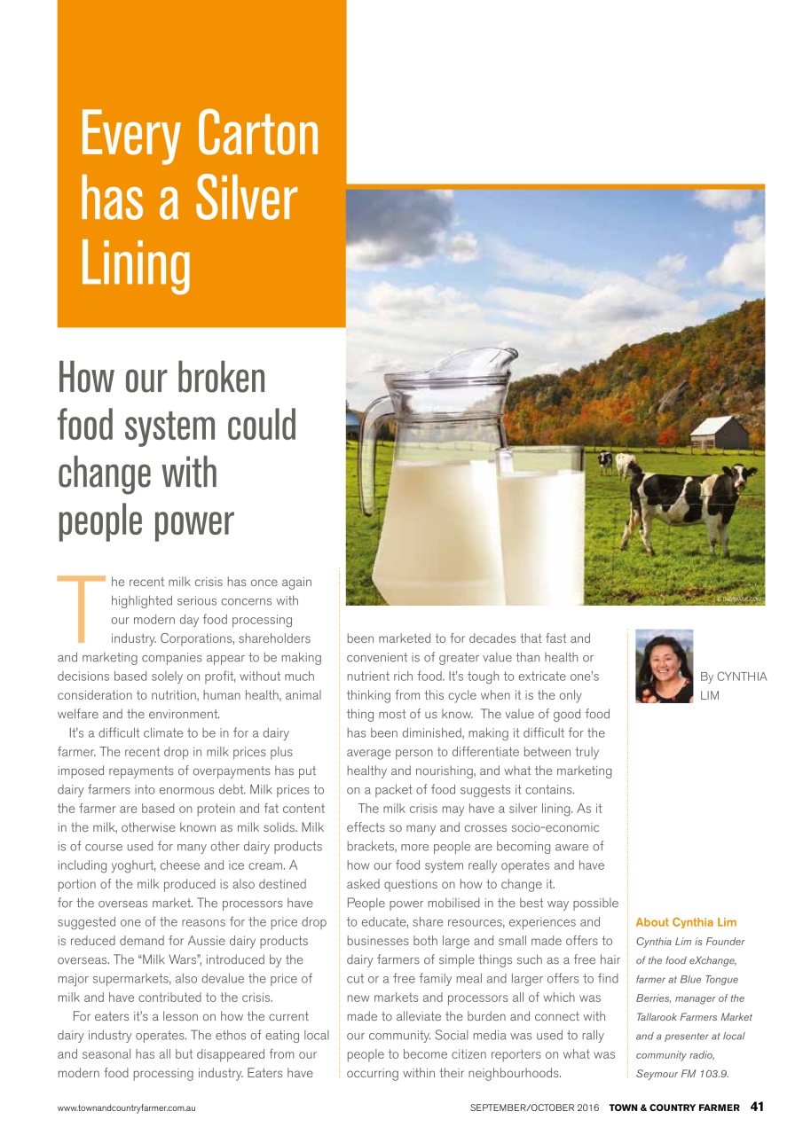 Town And Country Farmer Preview Pages