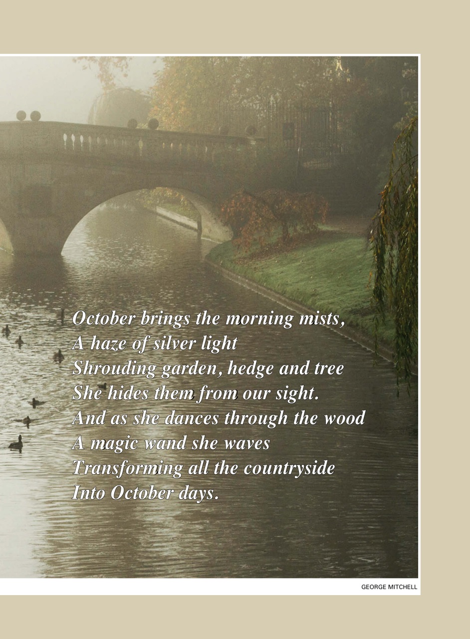 Evergreen Preview Pages