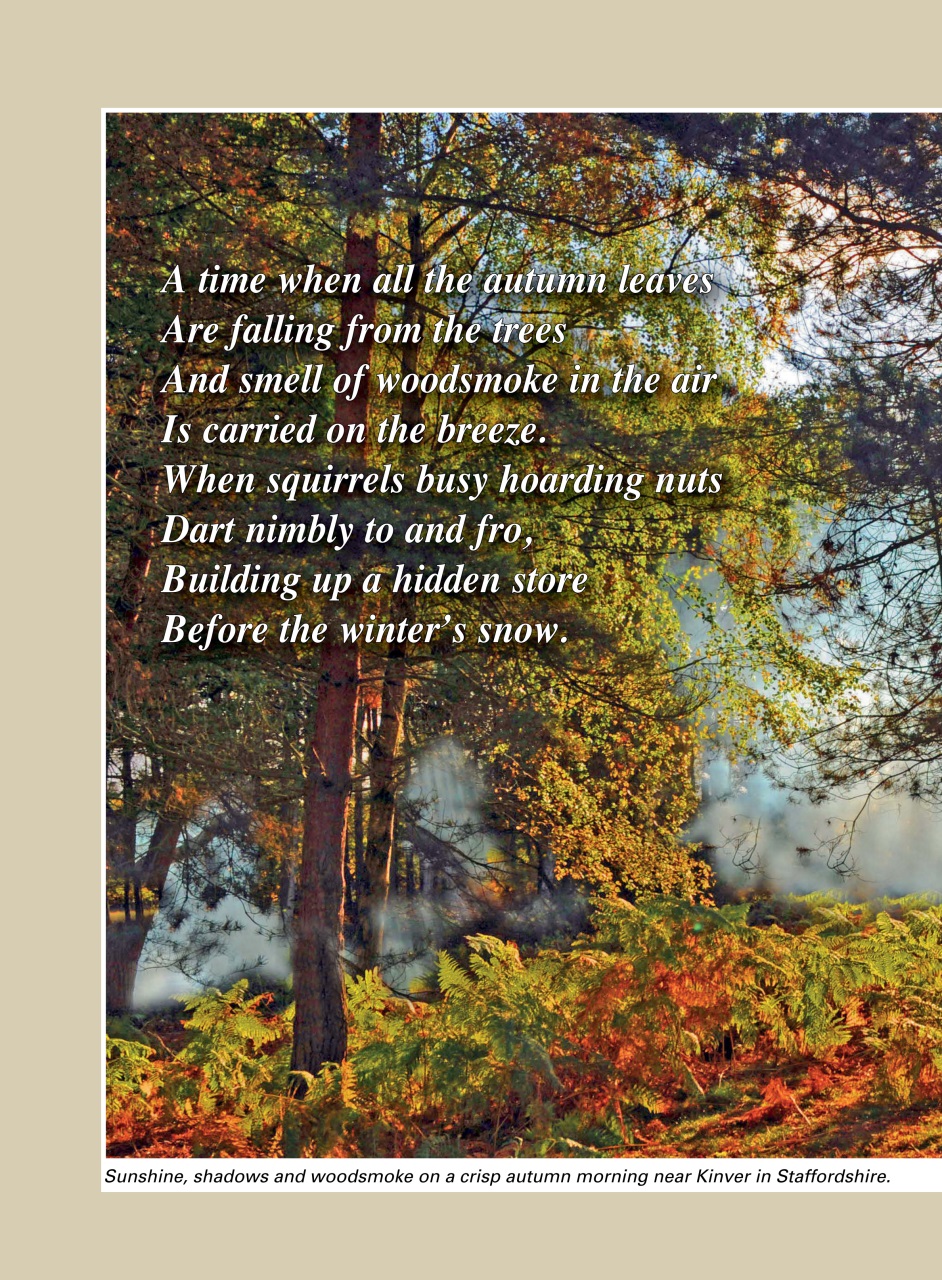 Evergreen Preview Pages