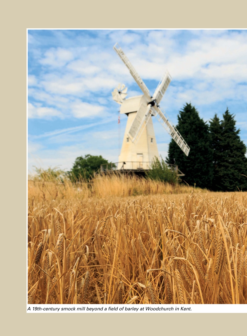 Evergreen Preview Pages