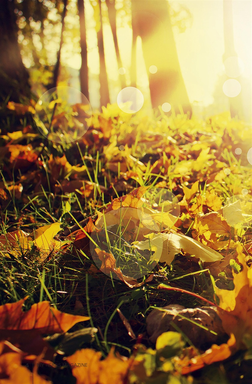 My Herbs Magazine Preview Pages