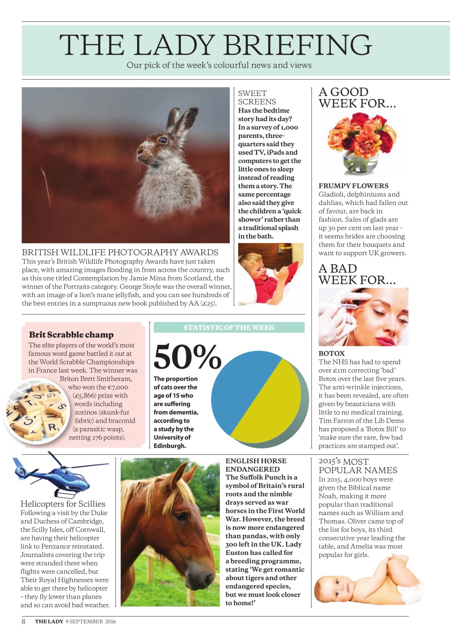 The Lady Preview Pages