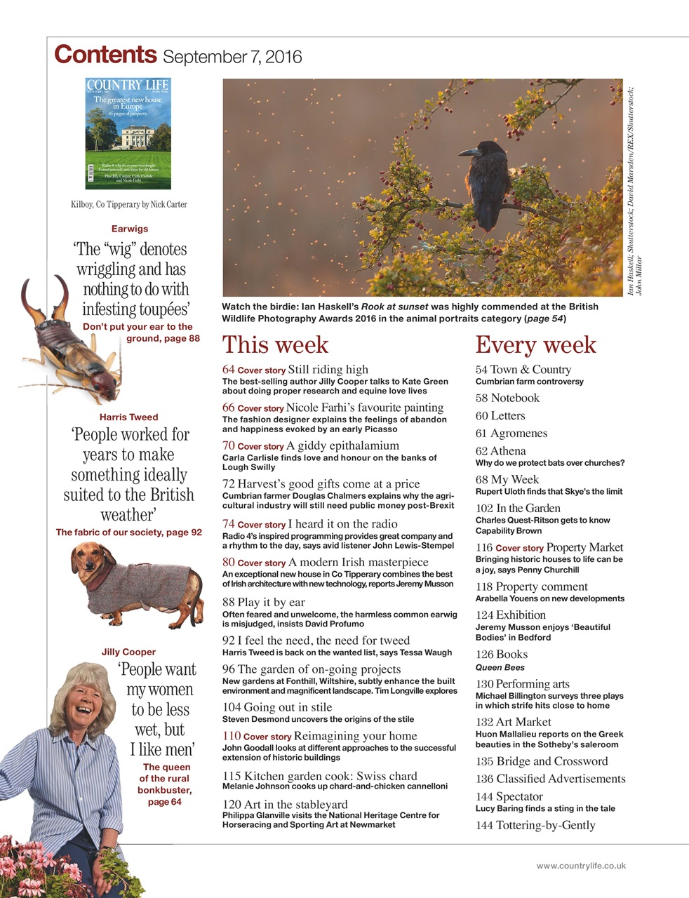 Country Life Preview Pages