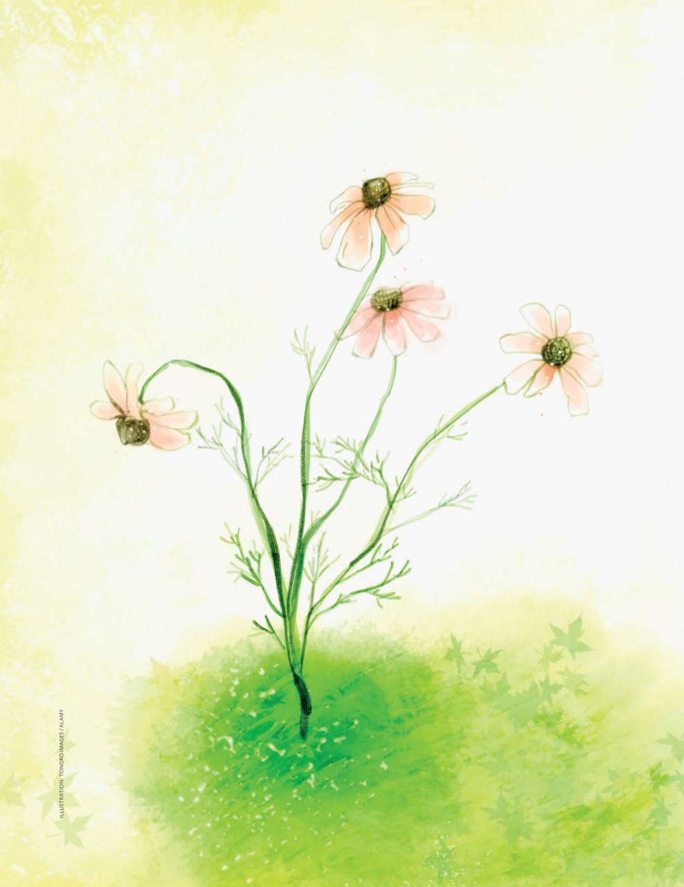 Breathe Preview Pages