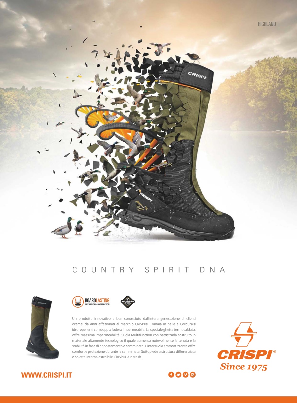 BECCACCE CHE PASSIONE Preview Pages