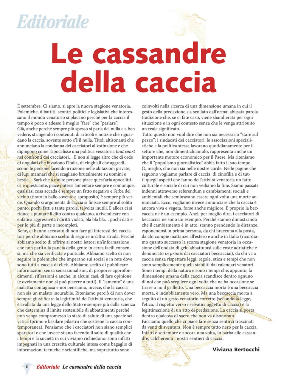 BECCACCE CHE PASSIONE Preview Pages