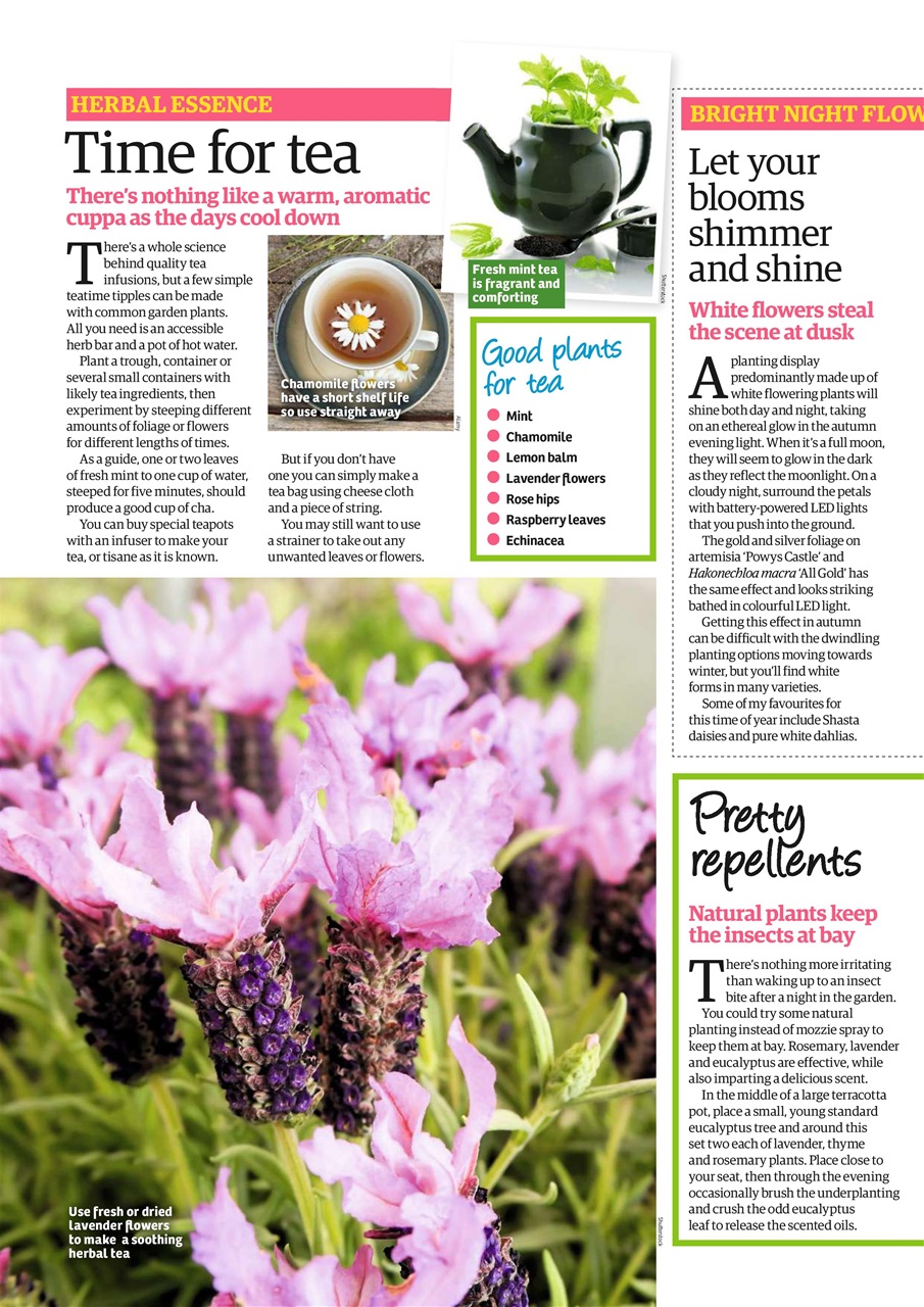 Garden News Preview Pages