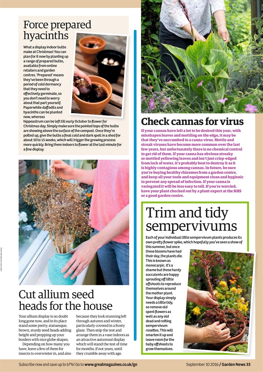 Garden News Preview Pages