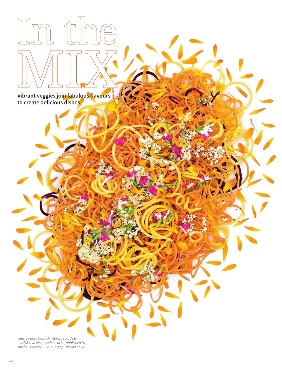 PlantBased Preview Pages