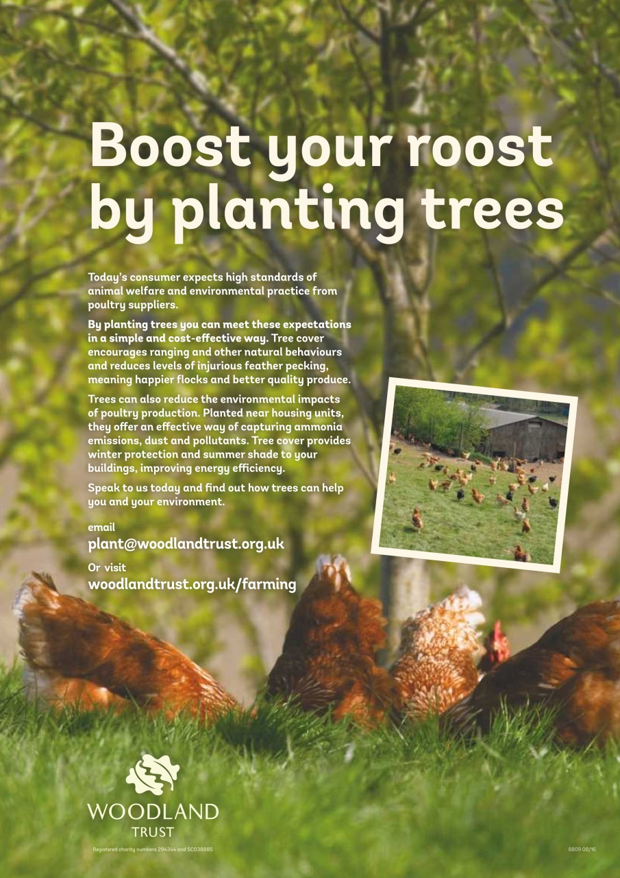 Practical Poultry Preview Pages