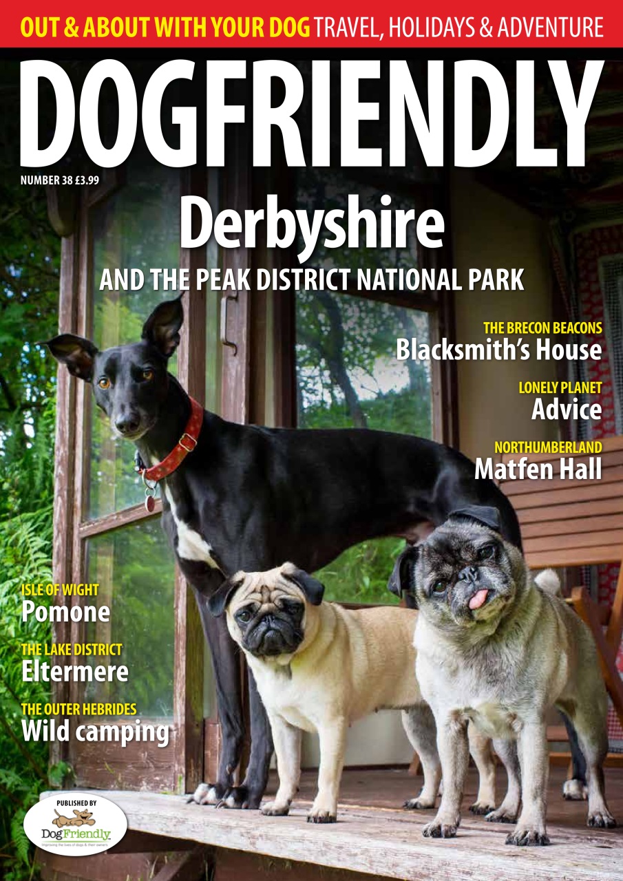 Dog Friendly Preview Pages
