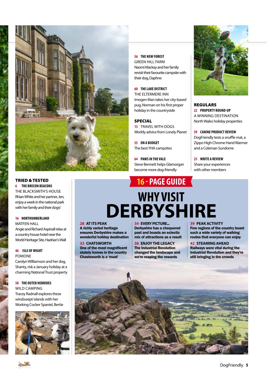 Dog Friendly Preview Pages