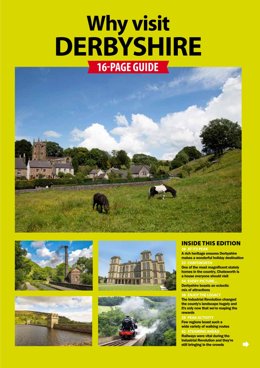 Dog Friendly Preview Pages