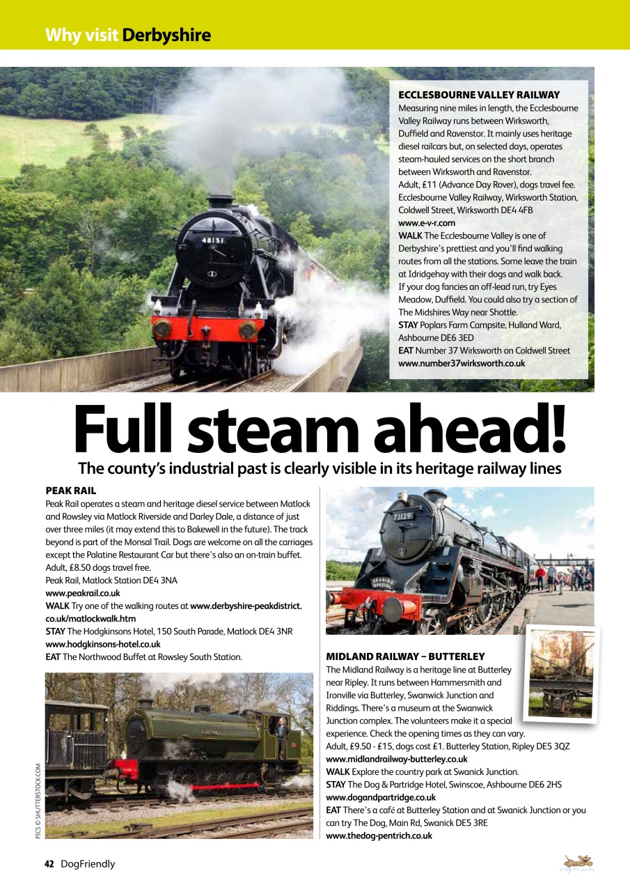 Dog Friendly Preview Pages