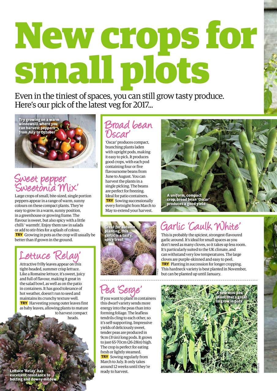 Garden News Preview Pages