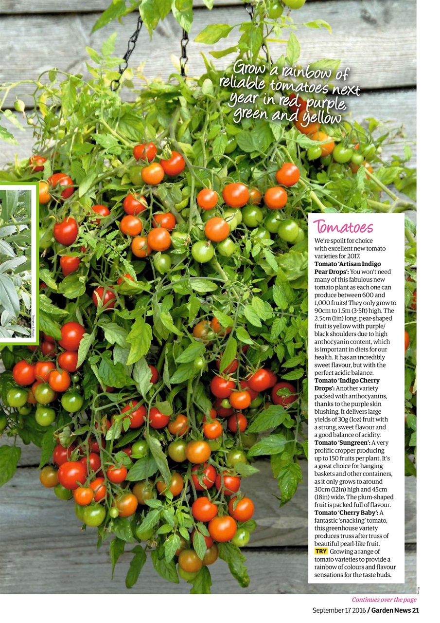 Garden News Preview Pages