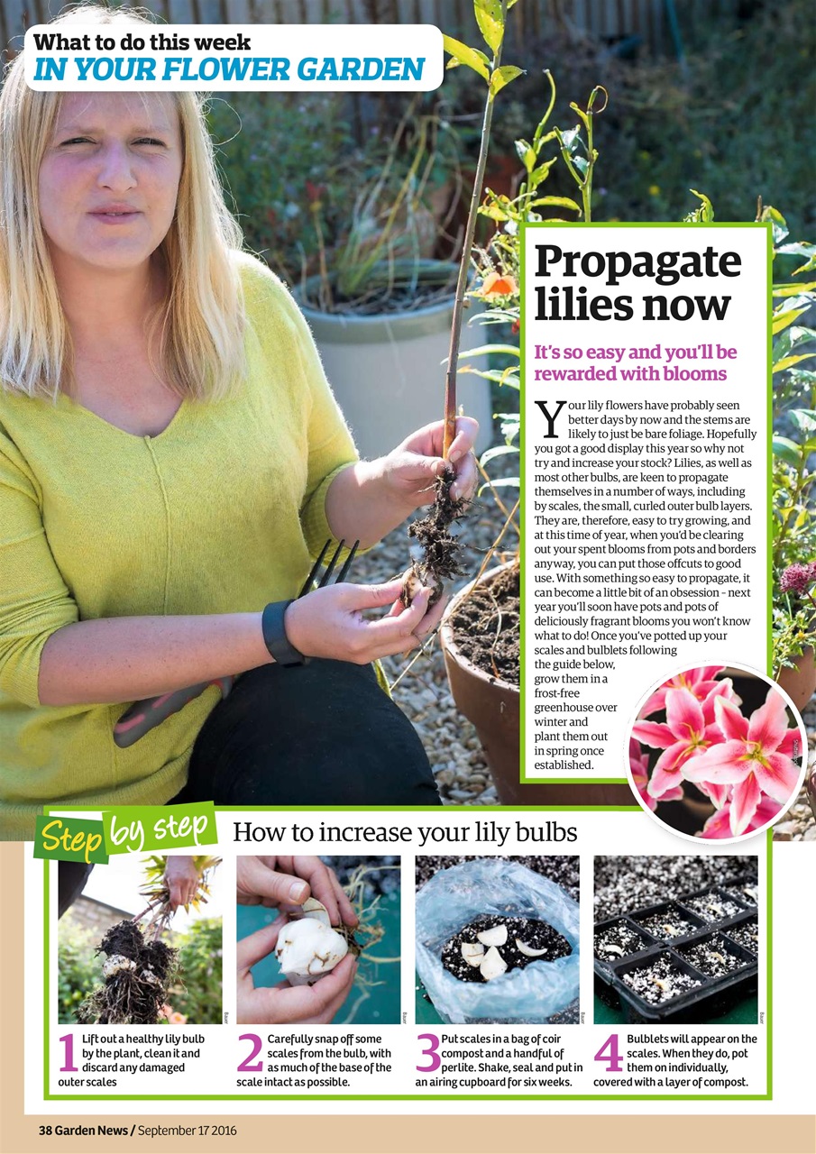 Garden News Preview Pages