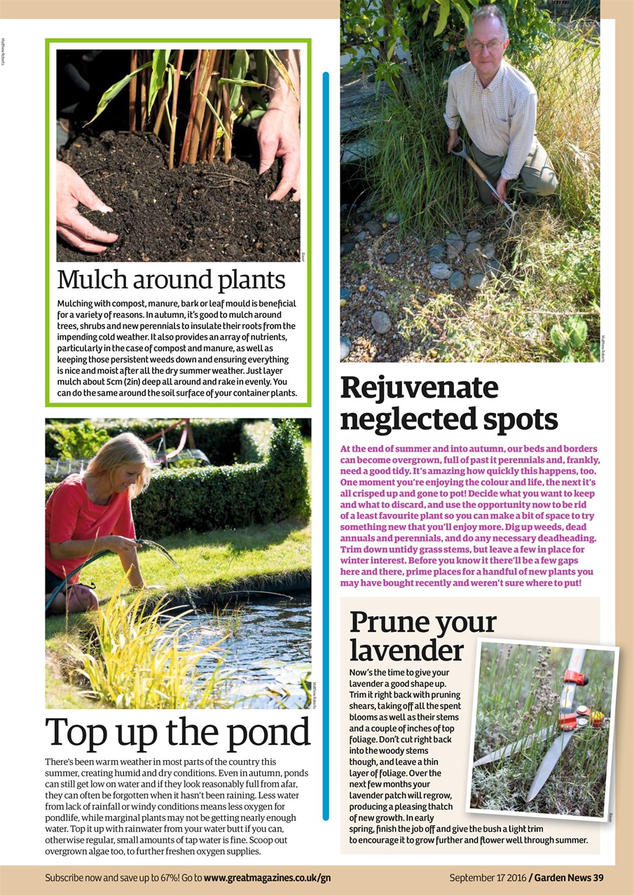 Garden News Preview Pages
