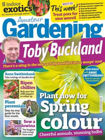 Amateur Gardening issue 17th September 2016