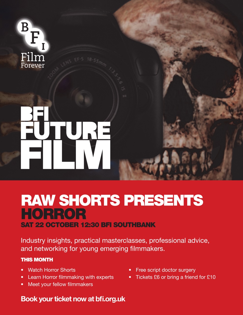 Digital FilmMaker Preview Pages