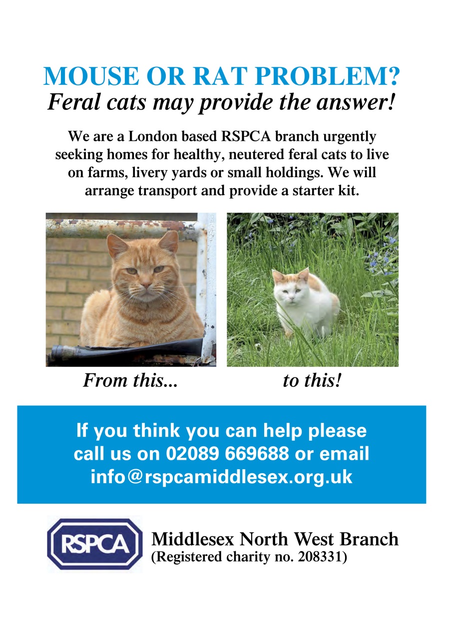 The Country Smallholder Preview Pages
