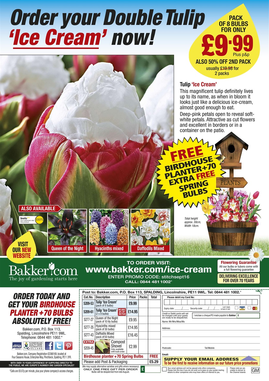 The World of Cross Stitching Preview Pages