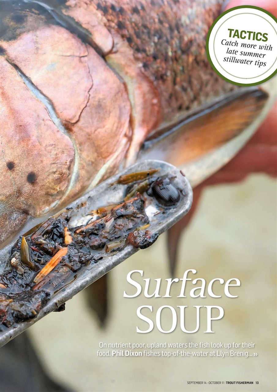 Trout Fisherman Preview Pages