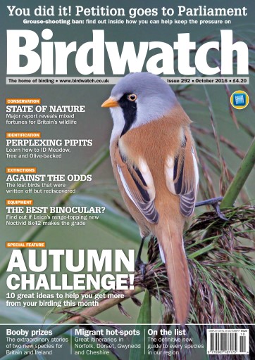 Birdwatch Magazine issue 