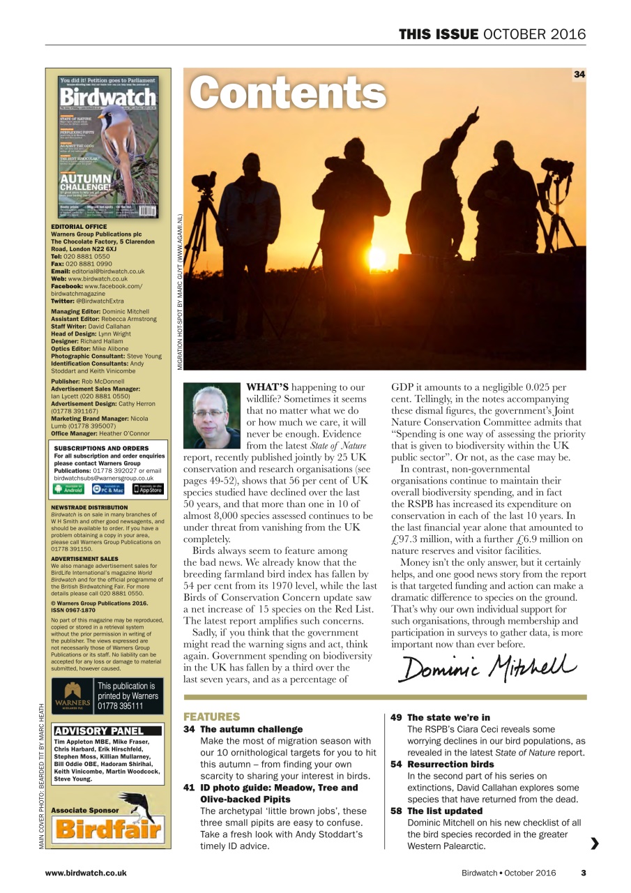 Birdwatch Magazine Preview Pages