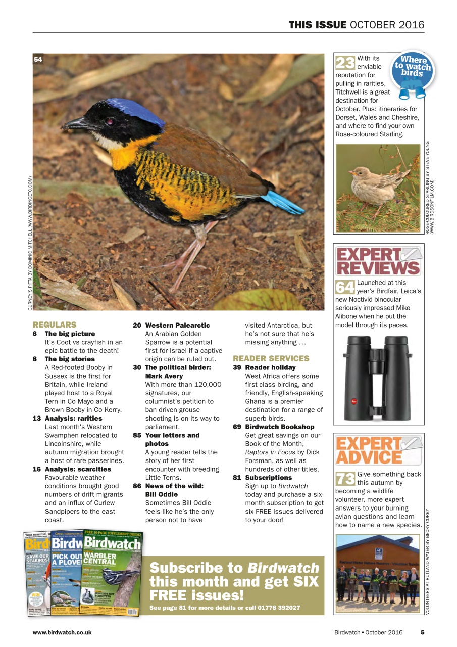 Birdwatch Magazine Preview Pages