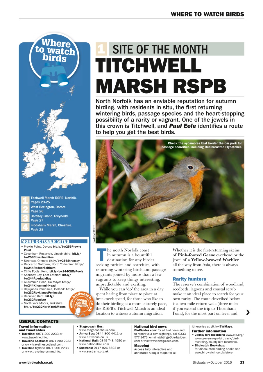 Birdwatch Magazine Preview Pages