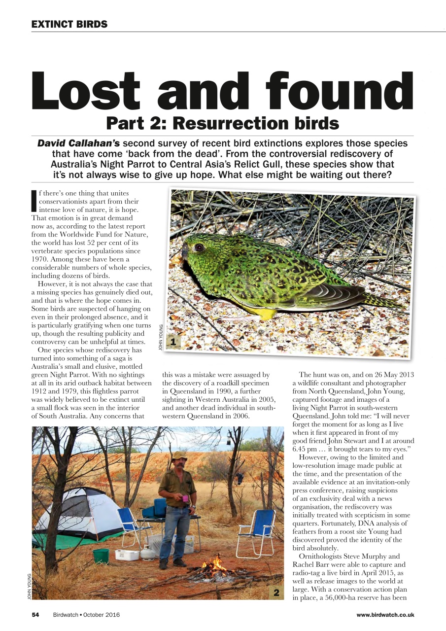 Birdwatch Magazine Preview Pages