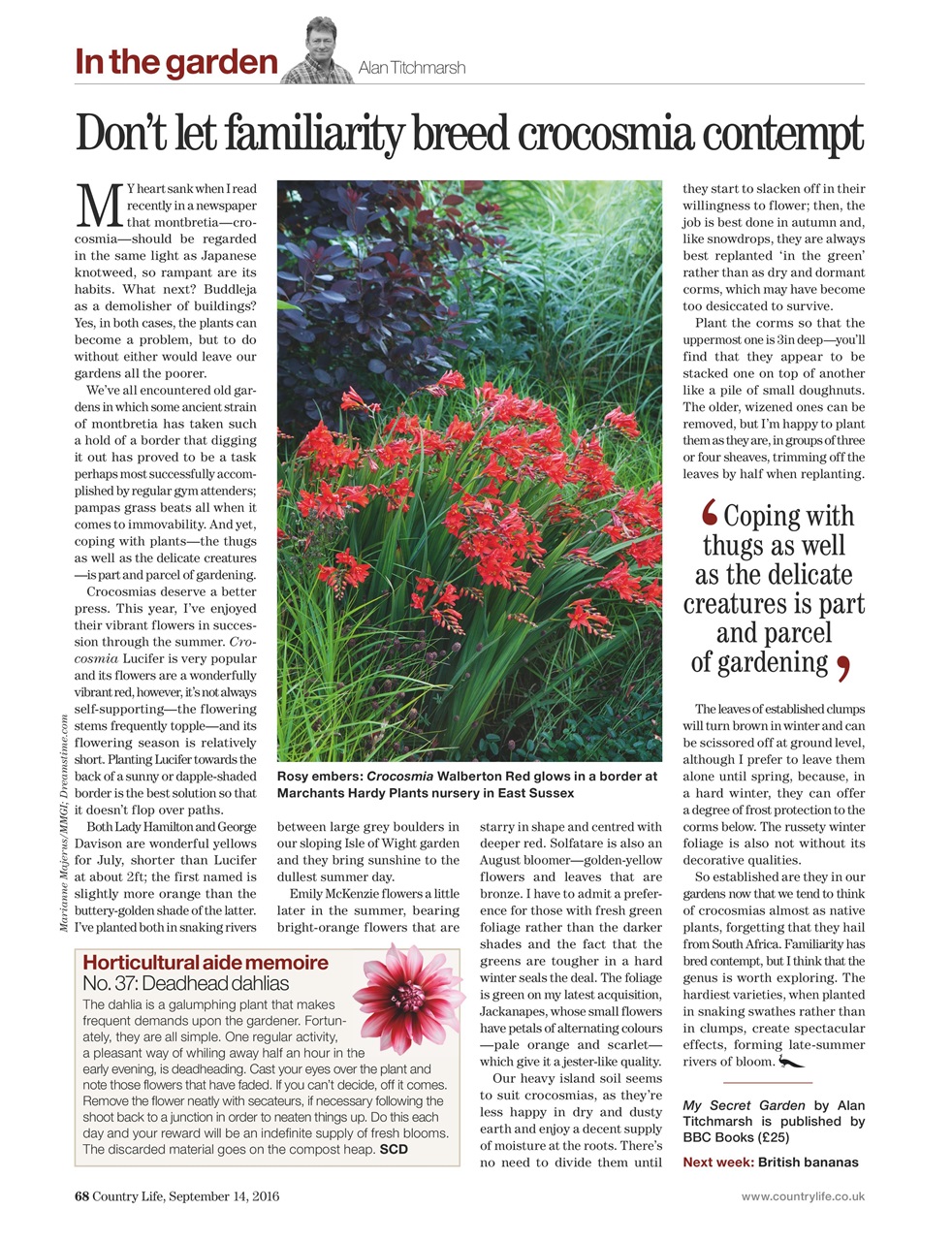 Country Life Preview Pages