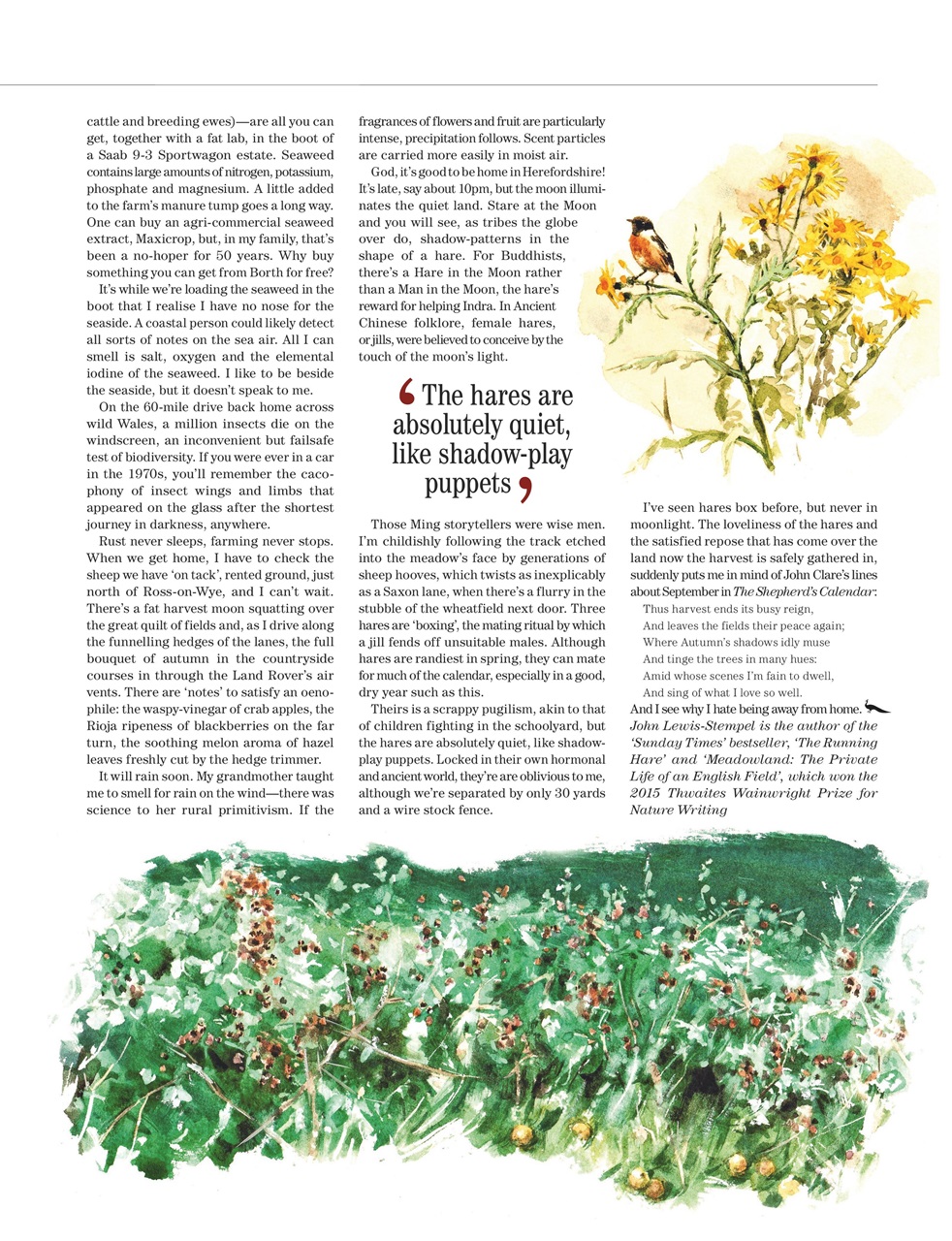 Country Life Preview Pages