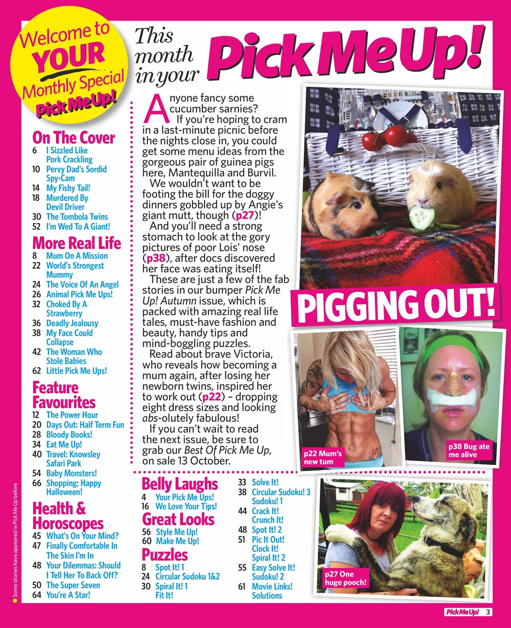 Pick Me Up! Special Preview Pages