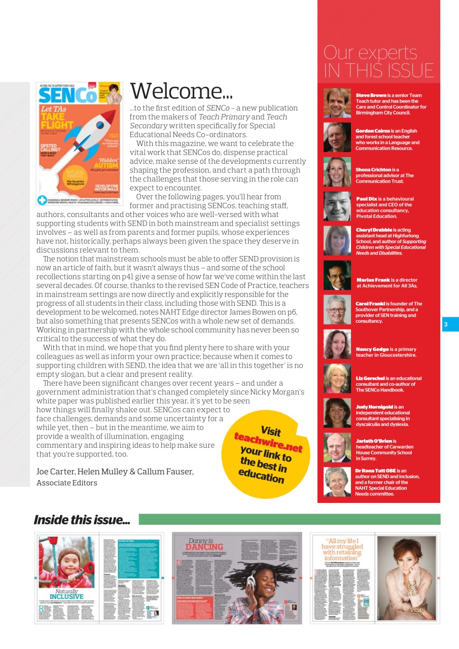 Teach Primary Preview Pages